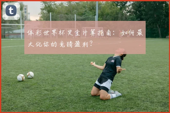 体彩世界杯奖金计算指南：如何最大化你的竞猜盈利？