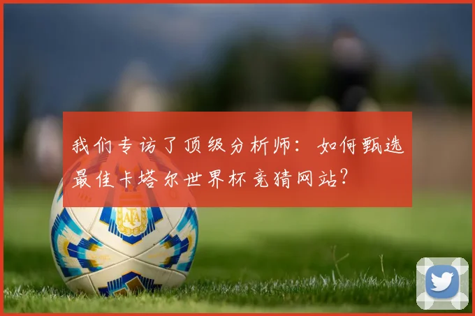 我们专访了顶级分析师：如何甄选最佳卡塔尔世界杯竞猜网站？