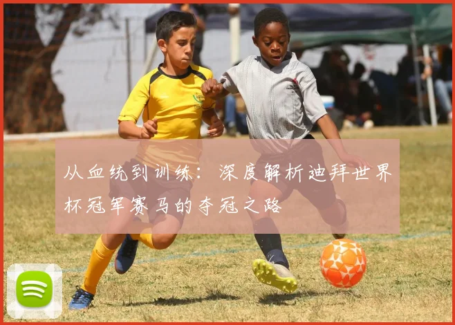 从血统到训练：深度解析迪拜世界杯冠军赛马的夺冠之路