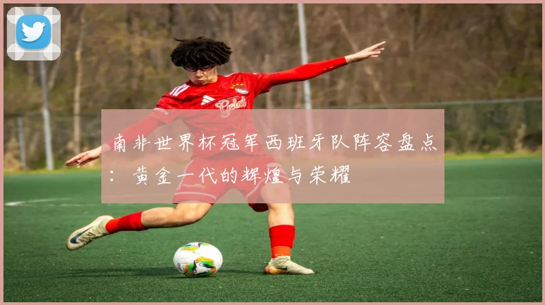 南非世界杯冠军西班牙队阵容盘点：黄金一代的辉煌与荣耀