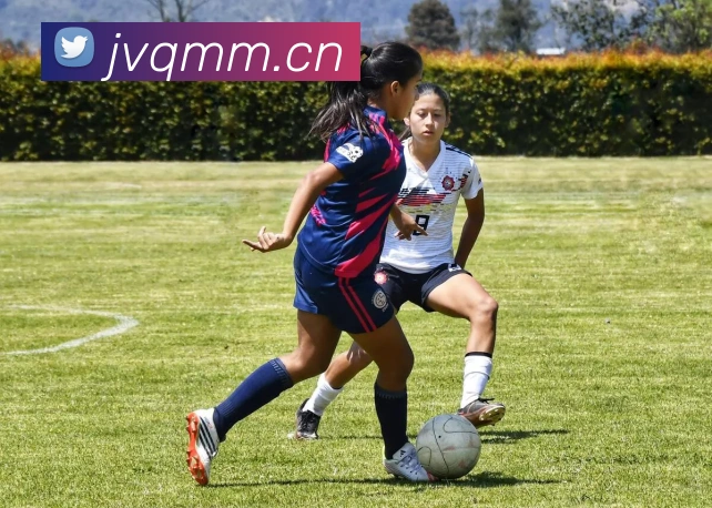 星空体育首页登录入口平台生态图